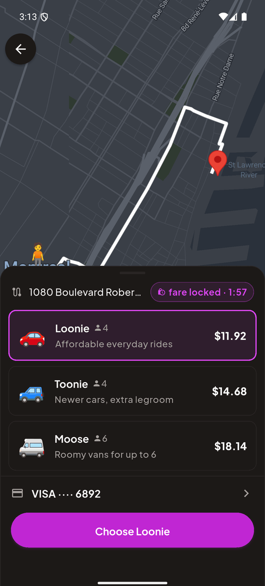 The Ansio app — a ride live on the map